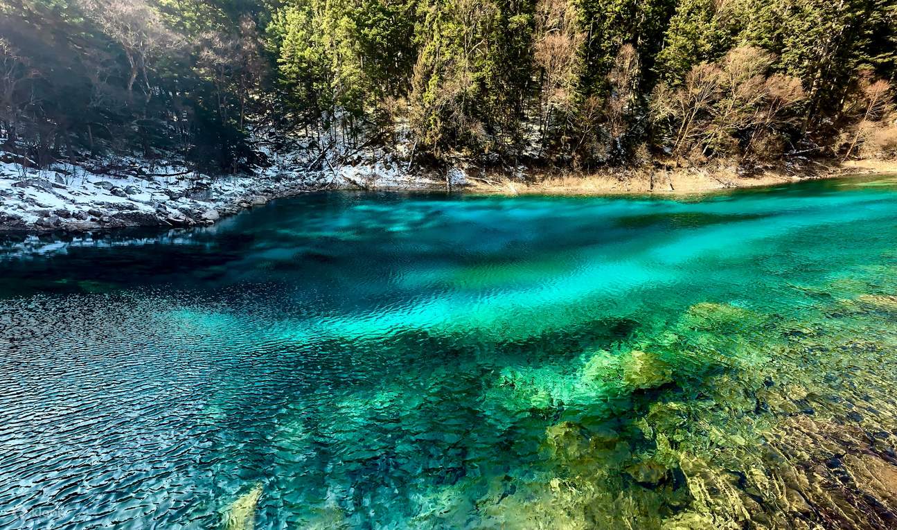 Pemandangan Musim Bunga Jiuzhaigou